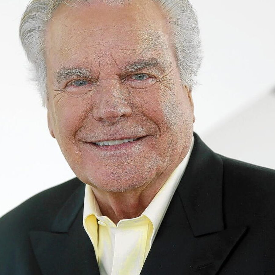 Robert Wagner, portrait